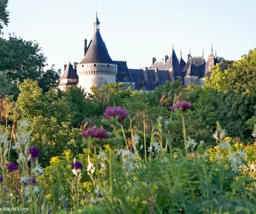 Depuis Blois : Chaumont-sur-Loire, nature, vin et histoire