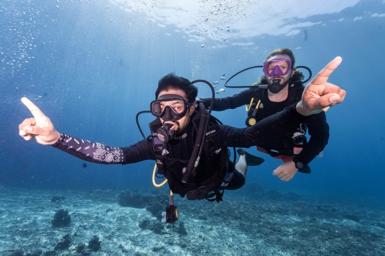 Manta Dive Gili Trawangan: Discover Scuba Diving