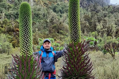 UGANDA RWENZORI — WATERFALLS & MONTANE ALLURE | 6-Day Hike