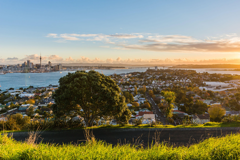 Auckland: En privat Privat tur i staden med Mount Victoria och Mt. Eden