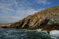 De Paracas, Ballestas Islands & Paracas National Reserve - Housity