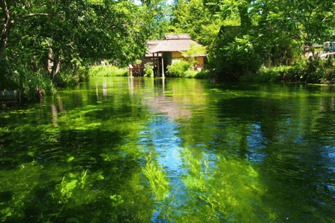 عروض خاصة لخريف ناغانو: كاميكوتشي ومزرعة ومصنع النبيذ واسابيرحلة ليوم واحد إلى كاميكوتشي الجبلية +