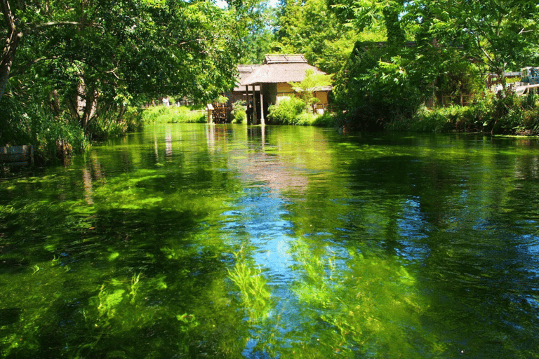 عروض خاصة لخريف ناغانو: كاميكوتشي ومزرعة ومصنع النبيذ واسابيرحلة ليوم واحد إلى كاميكوتشي الجبلية +