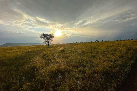 Viagem de 1 dia para a cratera de NgorongoroViagem de 1 dia à Cratera de Ngorongoro