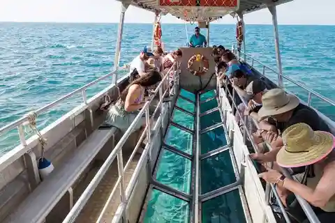 Sharm El-Sheik : Excursion en bateau à fond de verre sur les récifs coralliens