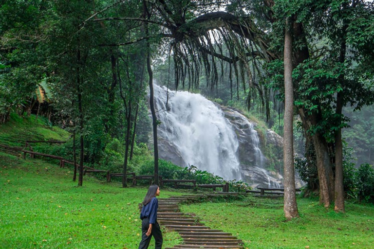 Chiang Mai: lo más destacado de Doi Inthanon (sin senderismo)Chiang Mai: Doi Inthanon Private Highlights (No Hiking)
