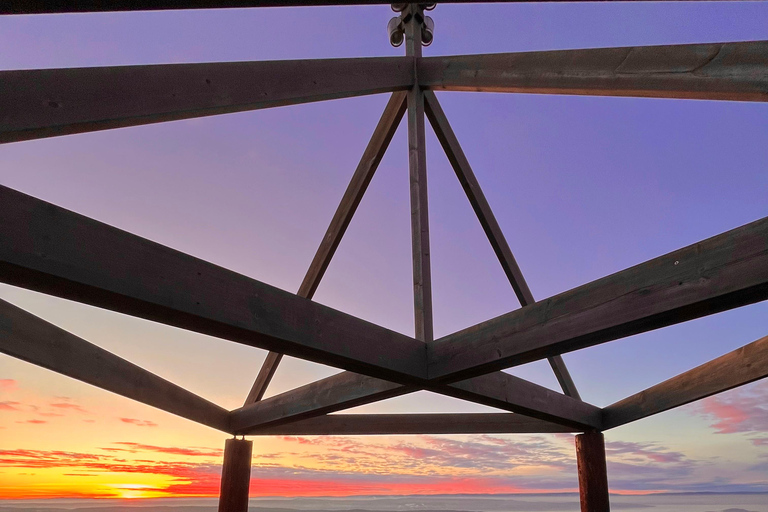 Oslo: Forest Hike with Panoramic Fjord Views and a dog