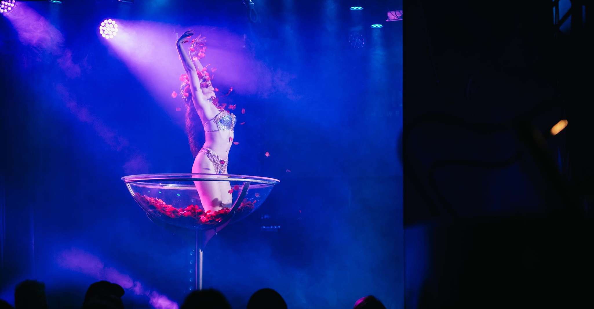 Berlin: Showgirls of Burlesque Show photo 13