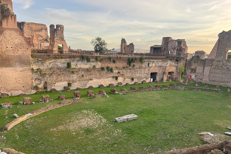 Small Group Guided Tour Colosseum Roman Forum, Palatine Hill Standard Tickets