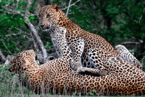 Expedição fotográfica e acampamento de luxo de quatro dias