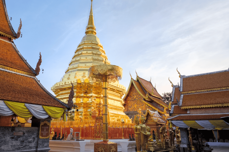 Chiang Mai: Elephant Sanctuary & Watch Sunrise at Temple