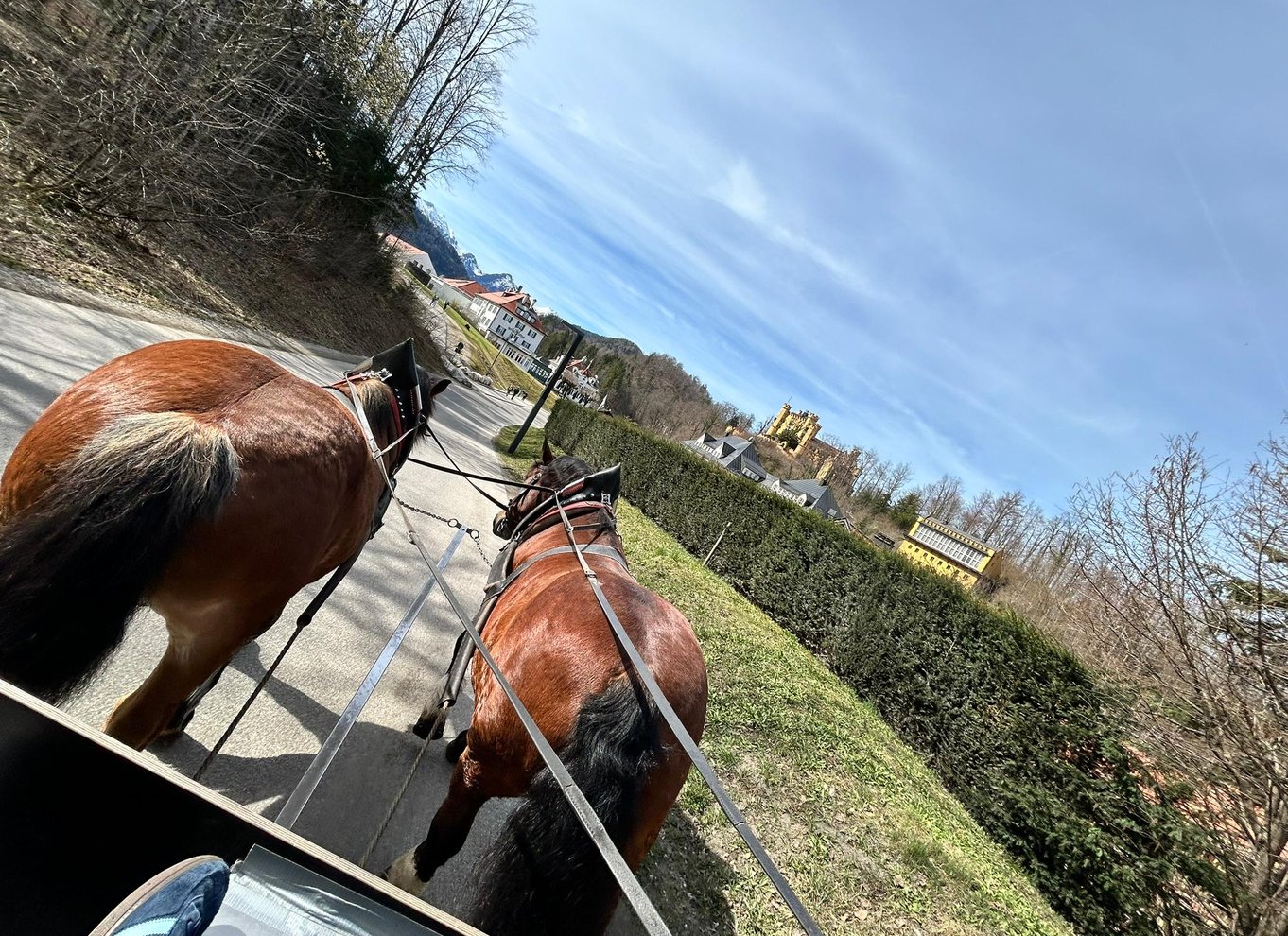 Skip køen-billet til Neuschwanstein Slot med audioguide