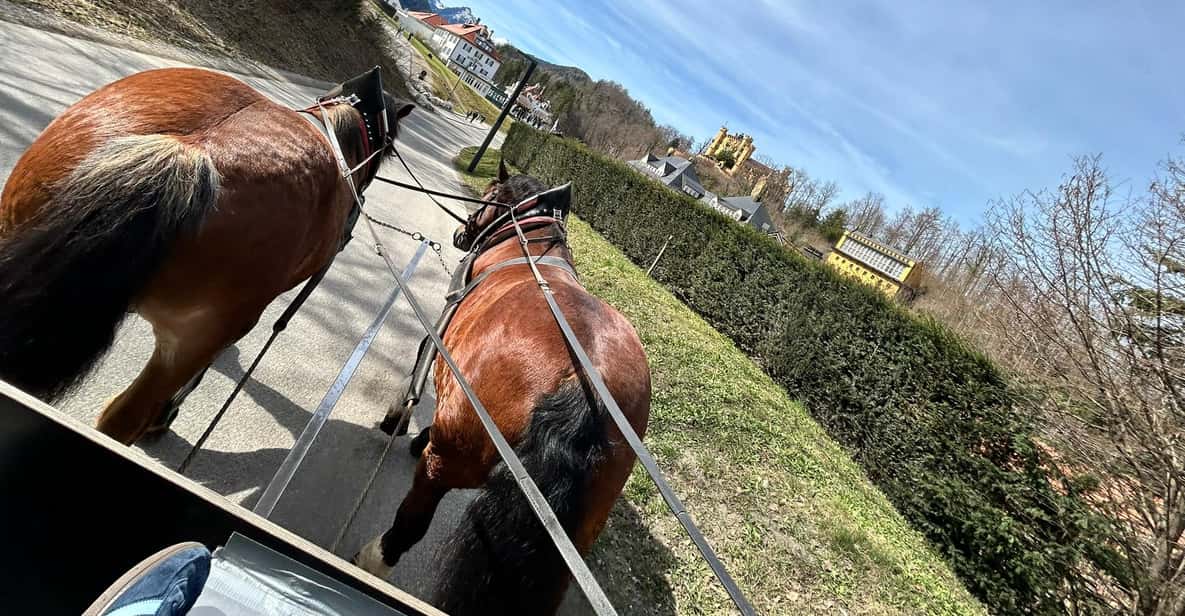 Afbeelding 8 van Kasteel Neuschwanstein: ticket met voorrangstoegang en audiogids