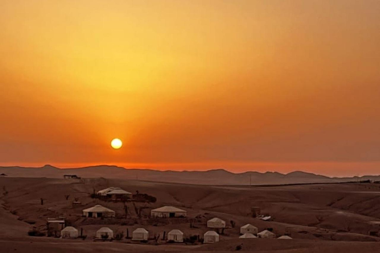 Una notte indimenticabile nel deserto: cena, giro in cammello e in quadNotte indimenticabile nel deserto: cena, giro in cammello e quad