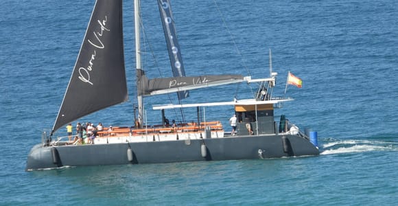 Cádiz: Katamaran Tour durch die Bucht von Cádiz mit Gastgeber