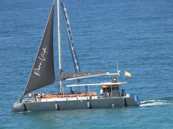 Cadiz: Bay of Cadiz Catamaran Tour with Host