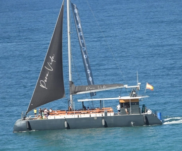 Cádiz: Catamarantocht door de baai van Cádiz met gastheer