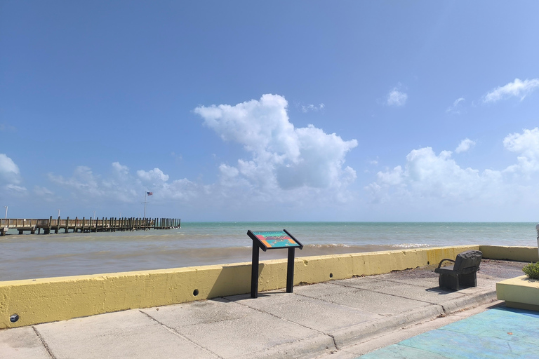 Miami: visita delle Keys in Mustang decappottabile in francese per un giornoMiami: tour delle Keys in Mustang decappottabile in francese, di un giorno