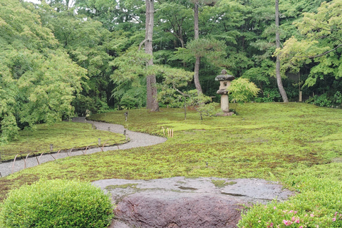 نارا: جولة في حدائق يوشيكين وإيسوئين مع حفل شاي