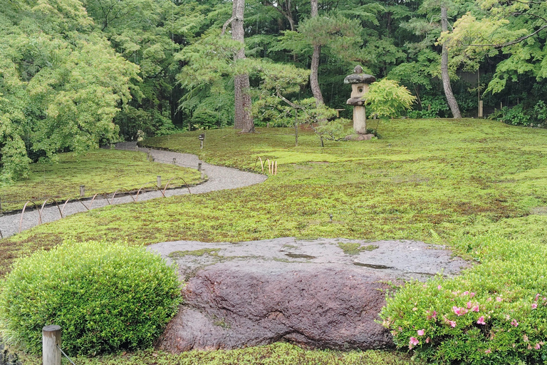 نارا: جولة في حدائق يوشيكين وإيسوئين مع حفل شاي