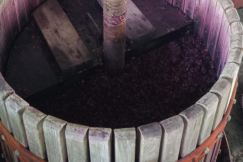Desde Las Américas!VIP Wine tasting & Guachinche lunch 1200m VIP Wine Tour! Enjoy 7 wines in bodega & Guachinche lunch