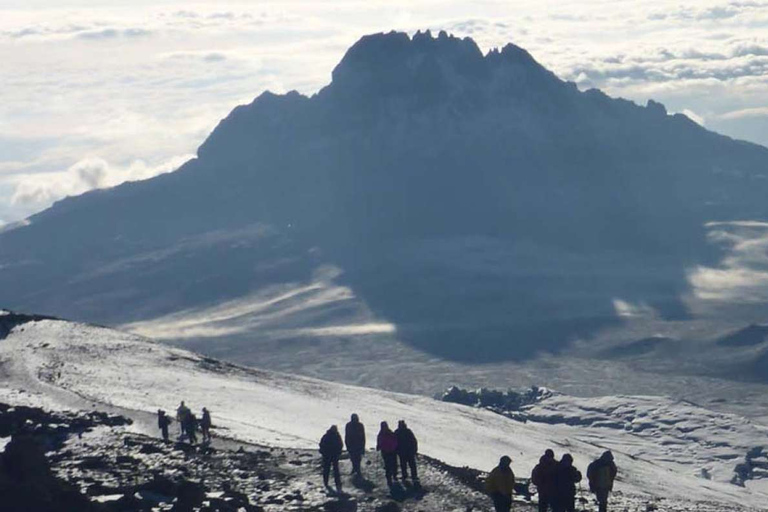 Escalada do Monte Kilimanjaro pelo circuito norte 8 diasMontanha Kilimanjaro caminhando no circuito norte