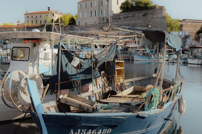 Ajaccio : excursion guidée à terre avec arrêt à La Parata