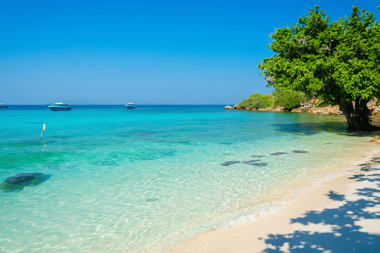 Au départ de Bangkok : Excursion d'une journée à l'oasis exotique de l'île de Koh LanVisite privée de l'île de Kon lan