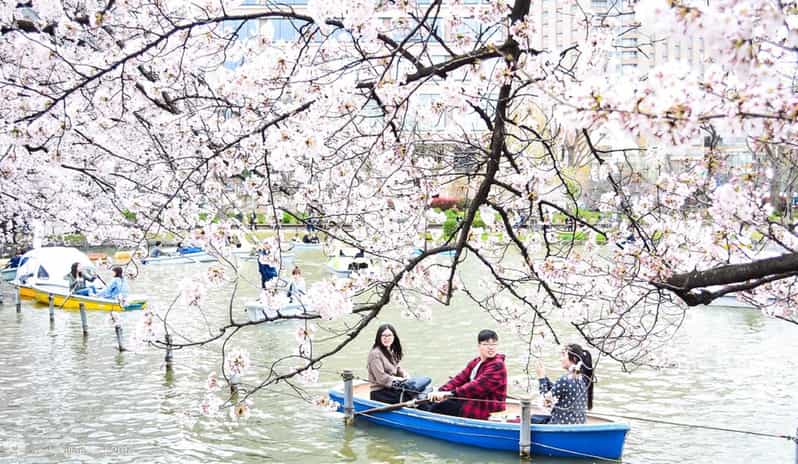 Tokyo: Ueno Park and Ameyoko Street Walking Tour