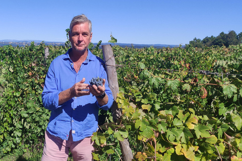 Carcassonne: Wine Tasting of the Languedoc Roussillon Carcassonne: Afternoon Wine Tasting Languedoc Roussillon