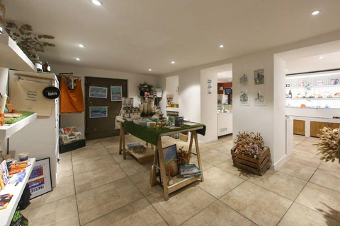 French cheese and wine tasting in Marseille – Gourmet pairings