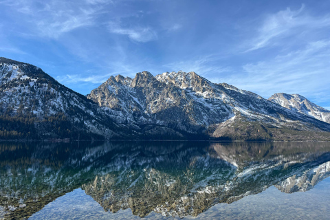 Grand Teton National Park: Guided E-Bike Wildlife Tour