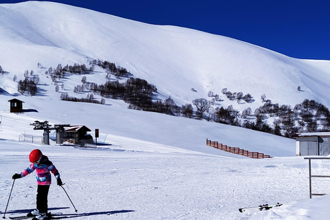 Borjomi Bakuriani Day Group Tour Without Guide