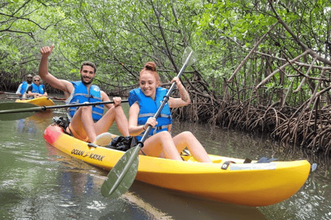 Mangrove Jungle exploration on SUP/Kayak