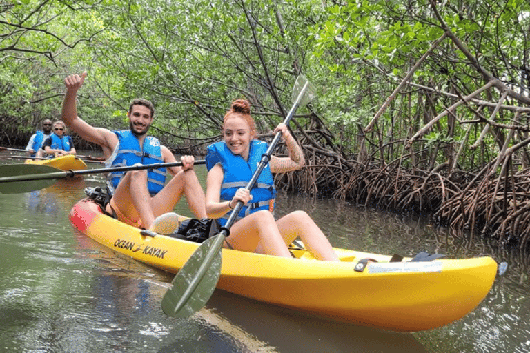 Mangrove Jungle exploration on SUP/Kayak