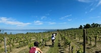 Valle del Lago, tour ebike con esperienza di degustazione di cibo e vino - Housity