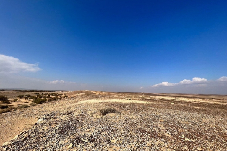 Amman - Woestijnkastelen en Azraq Wetland Reserve Volledige dagtrip
