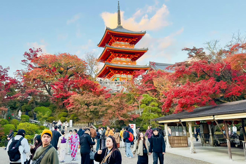 Kyoto / Nara : Kyoto & Nara Private Tour with Driver / Guide Kyoto : Kyoto Private Tour Up To 3 Persons