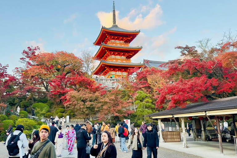 Kyoto / Nara : Kyoto & Nara Private Tour with Driver / Guide Kyoto : Kyoto Private Tour Up To 3 Persons
