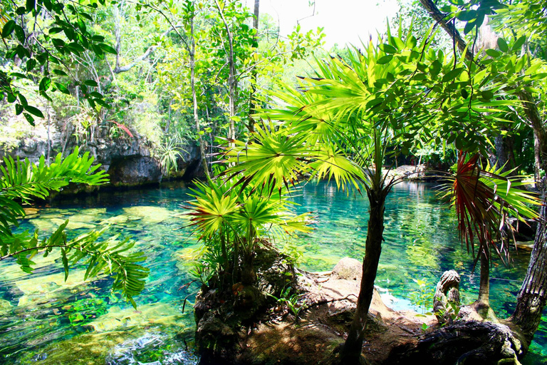 Tulaka Cenote - przeżyj prywatną wycieczkę