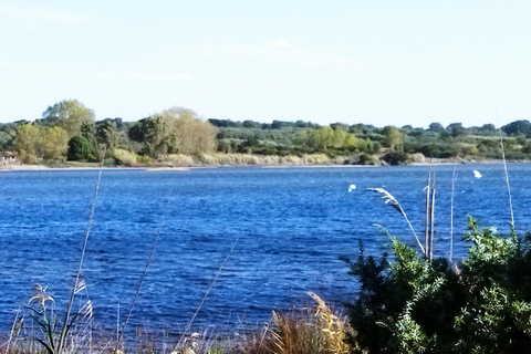 Corfu: South Island Tour with Chalikounas Beach Visit