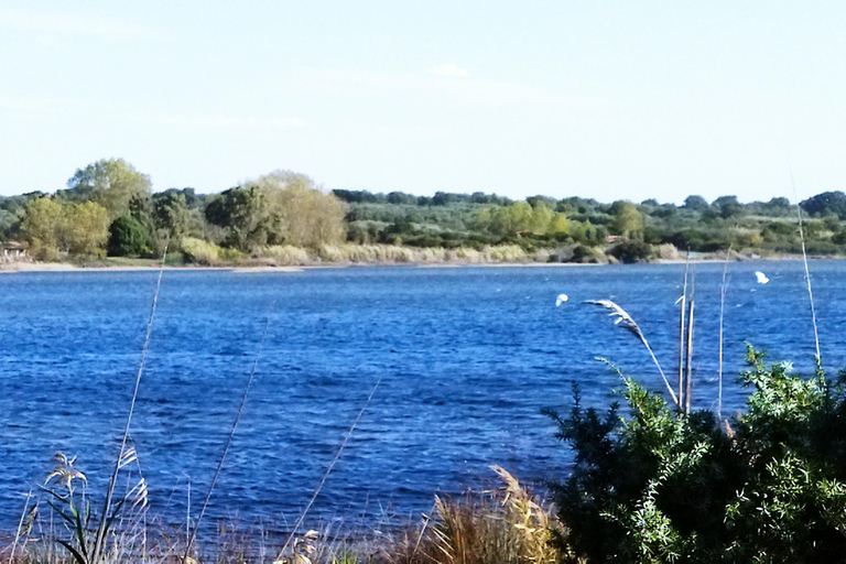 Corfu: South Island Tour with Chalikounas Beach Visit