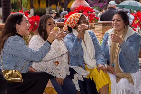 Tour Tequila Loreta Travel&Tour