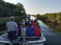 Salina di Cervia, in barca alla ricerca di fenicotteri - Housity