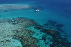 Snorkeling | Cairns things to do in Yorkeys Knob