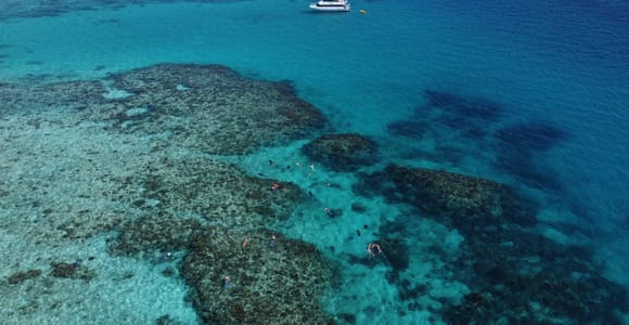 Cairns: Outer Great Barrier Reef & Dunk Island Small Group