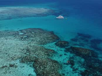 Cairns: Snorkling ved det ytre revet og Dunk Island-tur i liten gruppe