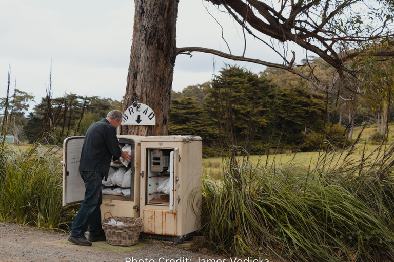 Bruny Island: Guided Sightseeing Tour (8hr Private Tour)