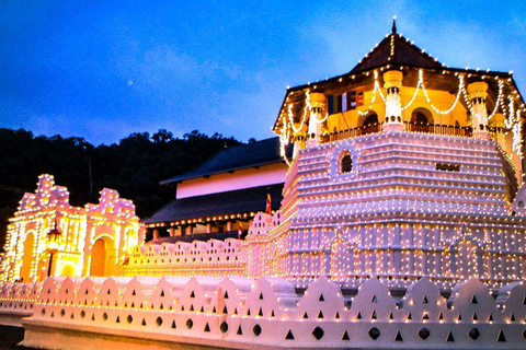 Colombo: Digana Waterfall Swim & Village Walk & Tea Factory