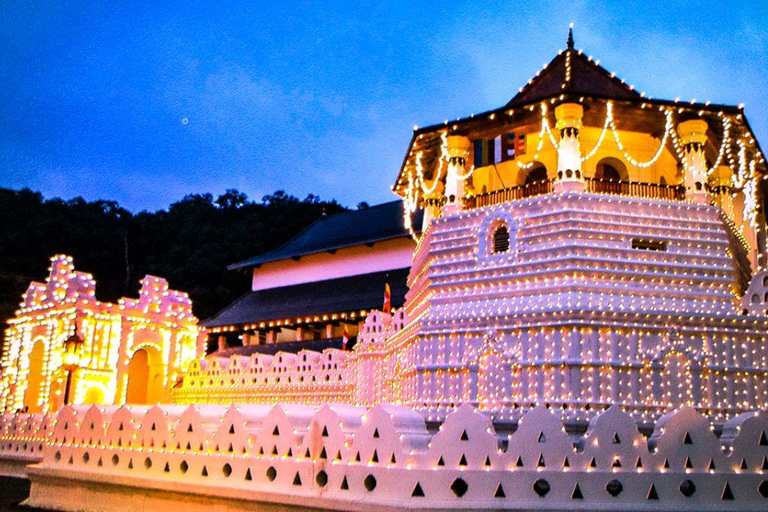 Colombo: Digana Waterfall Swim & Village Walk & Tea Factory